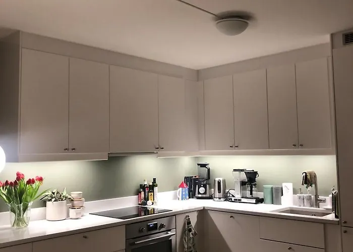 Newly Renovated 3-room アパート ベルゲン